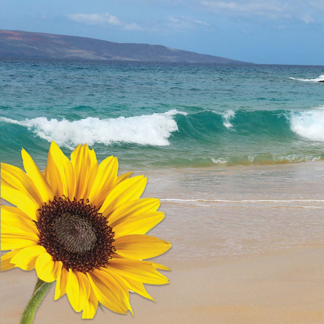 Ocean on Lemon Sunflower PEACE Magick Candle